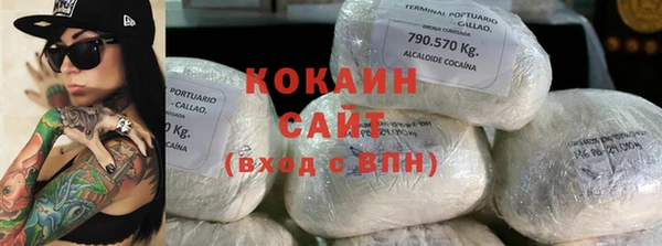 прущие грибы Аркадак
