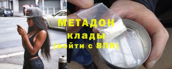 прущие грибы Аркадак