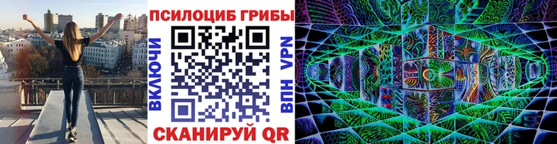 Псилоцибиновые грибы мухоморы  как найти наркотики  Лесосибирск 