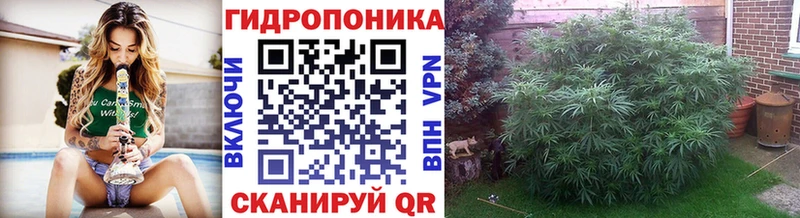 Конопля SATIVA & INDICA Лесосибирск